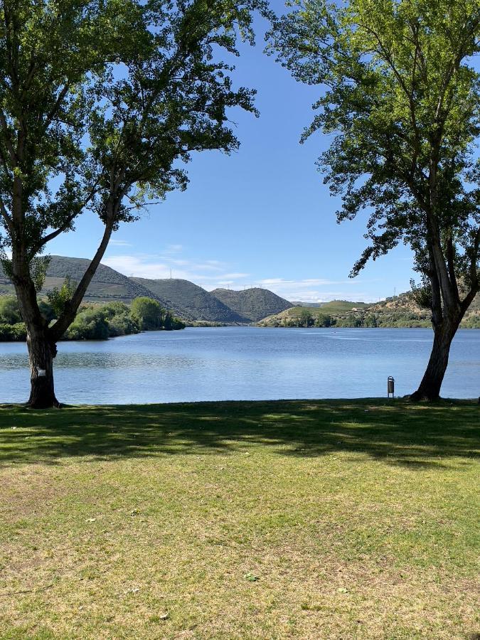 トーレ・デ・モンコルヴォ Douro Visit Houseヴィラ エクステリア 写真
