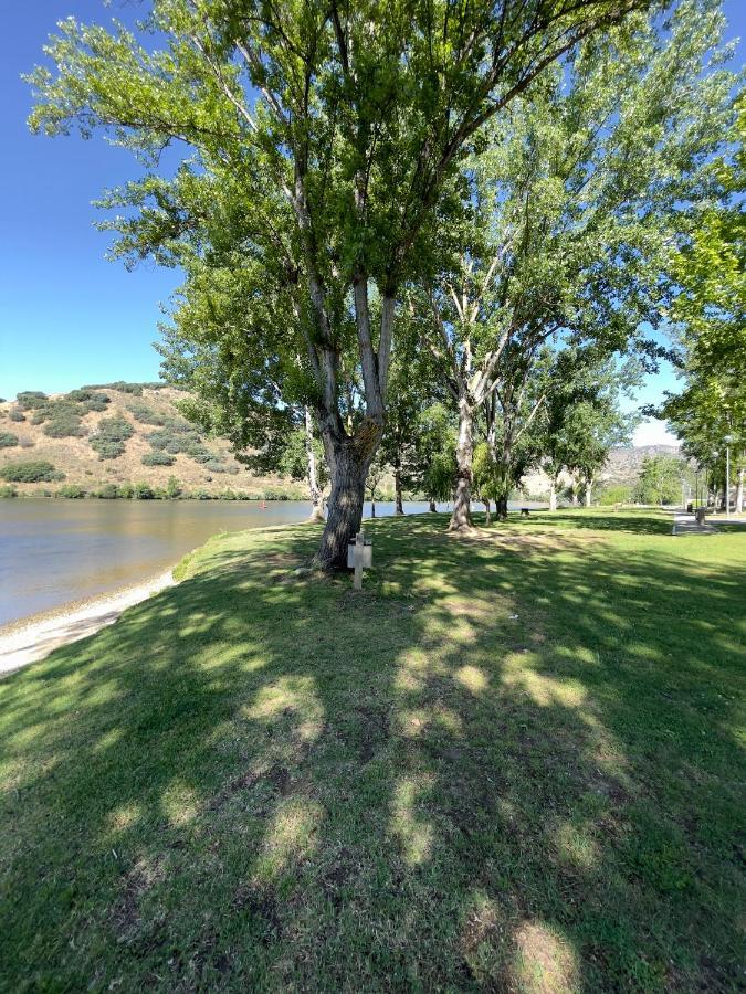 トーレ・デ・モンコルヴォ Douro Visit Houseヴィラ エクステリア 写真