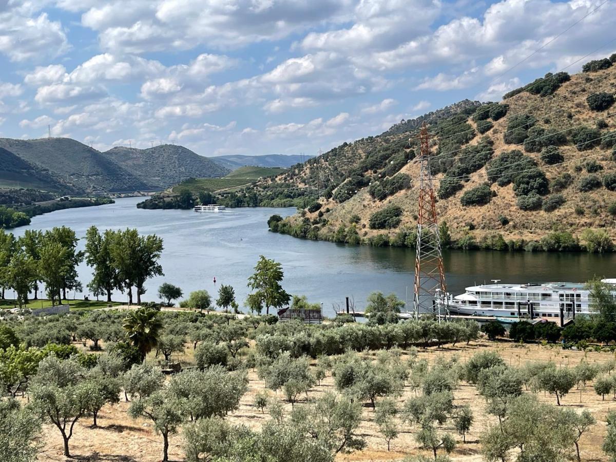トーレ・デ・モンコルヴォ Douro Visit Houseヴィラ エクステリア 写真